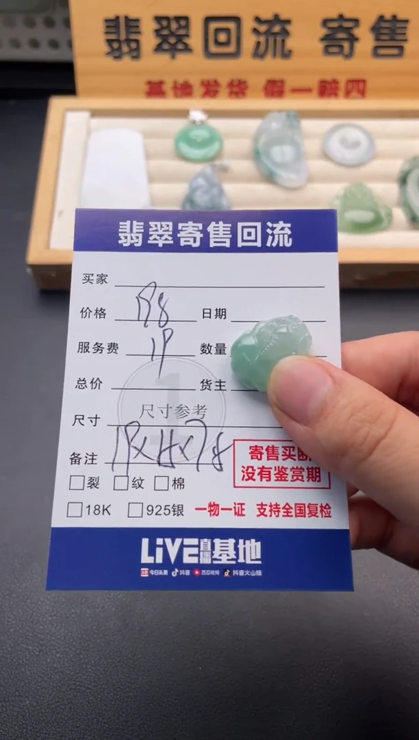 颈饰未镶嵌翡翠10147811