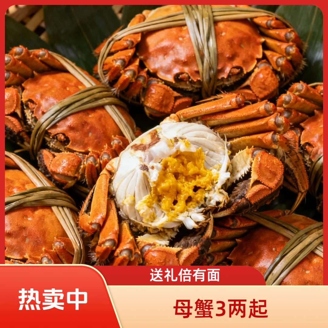 【黄河好蟹活蟹现货】黄河水大闸蟹全母蟹3-3.5两8只 4对