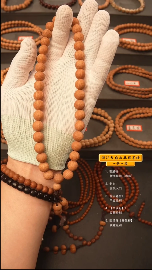 吊坠五线菩提海***_手持