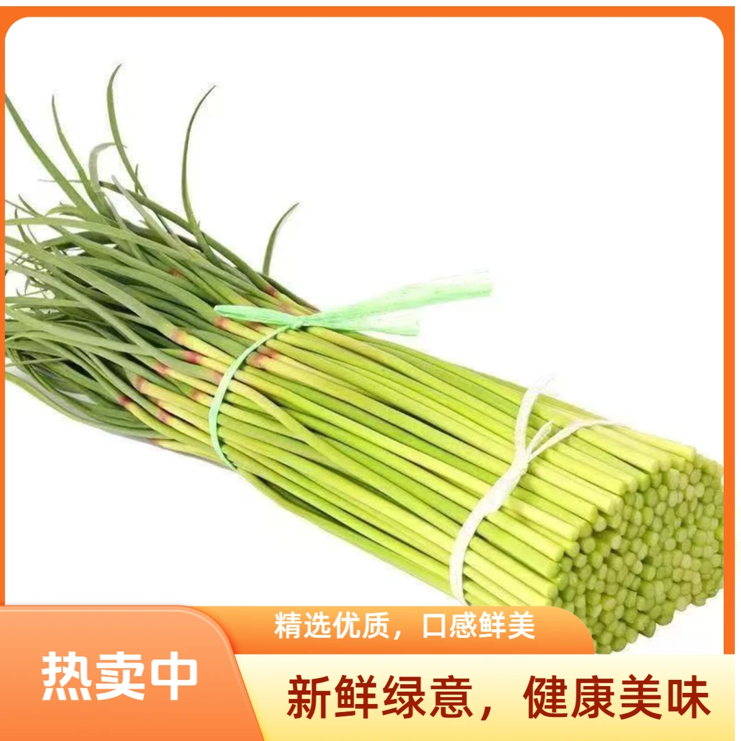 2025年新鲜蒜苔现摘现发1斤3斤5斤蒜薹