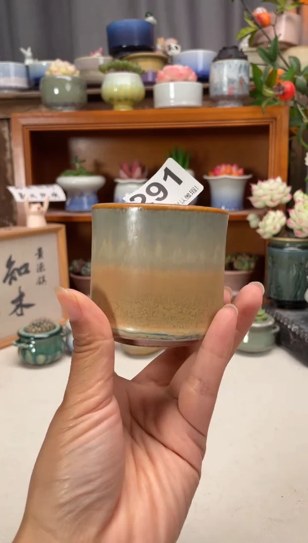 瓷片291知木小芳花盆