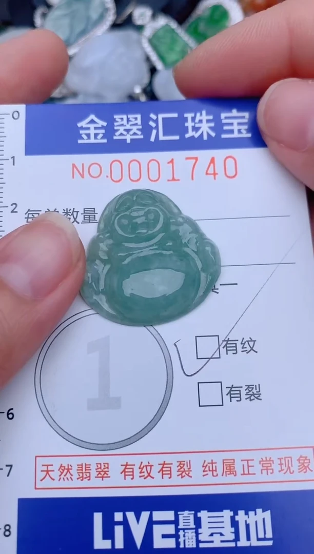 翡翠未镶嵌颈饰1740