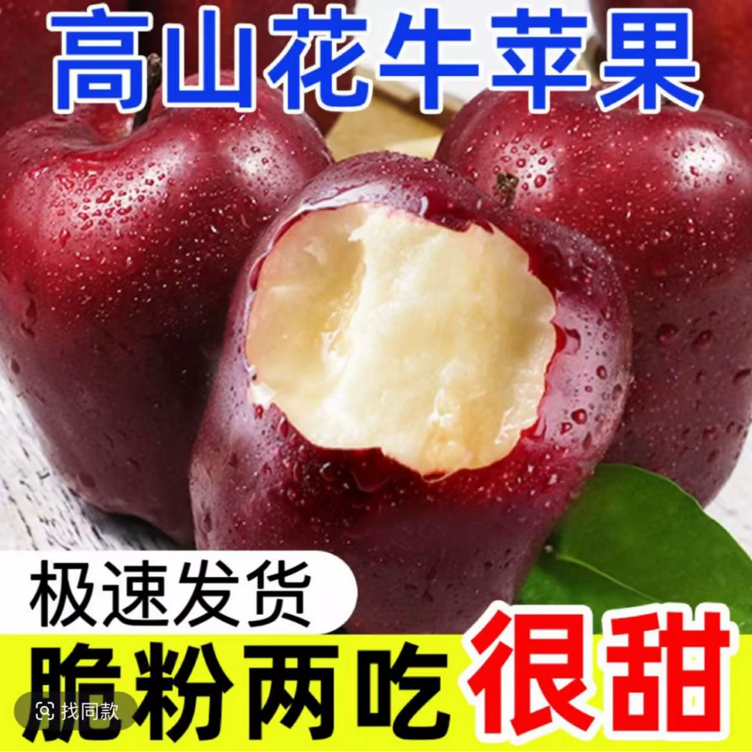甘肃天水花牛苹果红蛇粉面香甜宝宝辅食刮泥老人新鲜水果采摘苹果