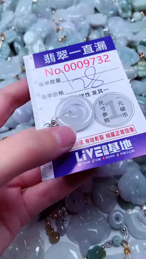 吊坠(不含链)未镶嵌翡翠9732
