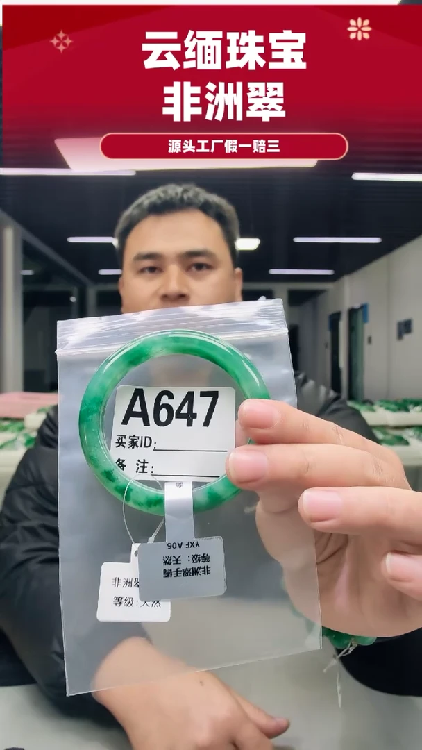 未镶嵌手镯石英质玉（非洲翠）58圈口A647