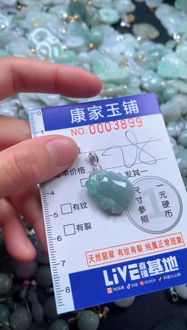 颈饰未镶嵌翡翠3899