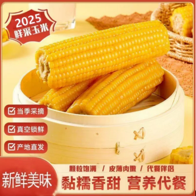 金箔东北新鲜头茬黄甜糯玉米10支整箱2500g