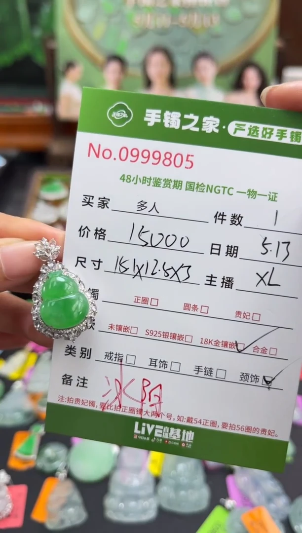 翡翠18K金镶嵌颈饰多人