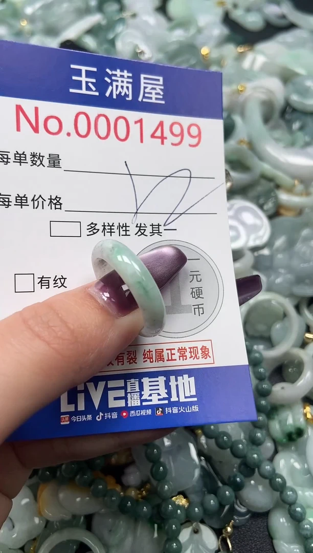 颈饰未镶嵌翡翠1499