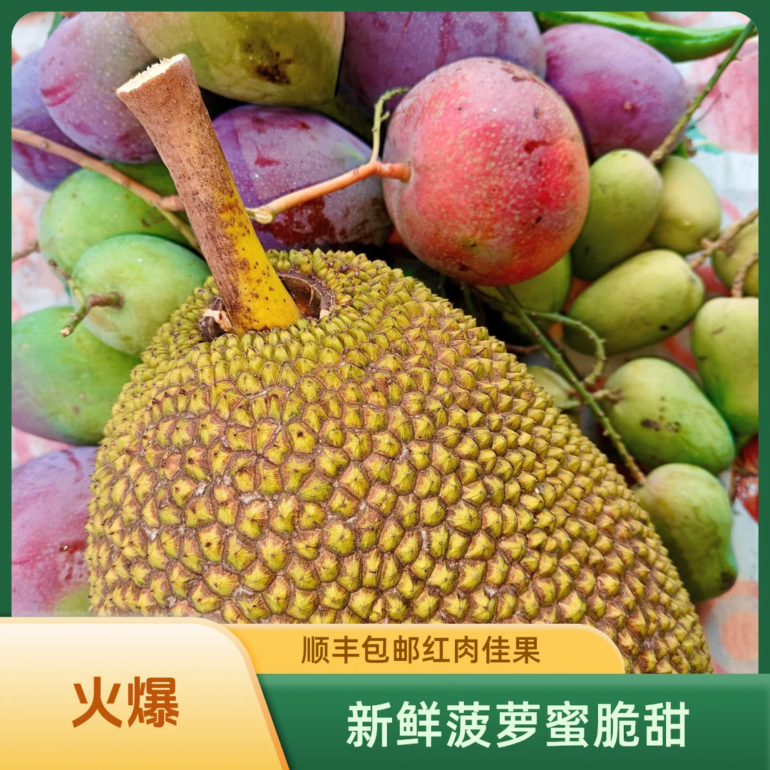 新鲜红肉菠萝蜜脆甜 顺丰包邮