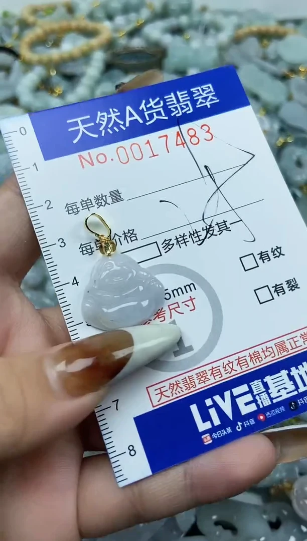 【闪购商品】翡翠颈饰未镶嵌天然A货翡翠