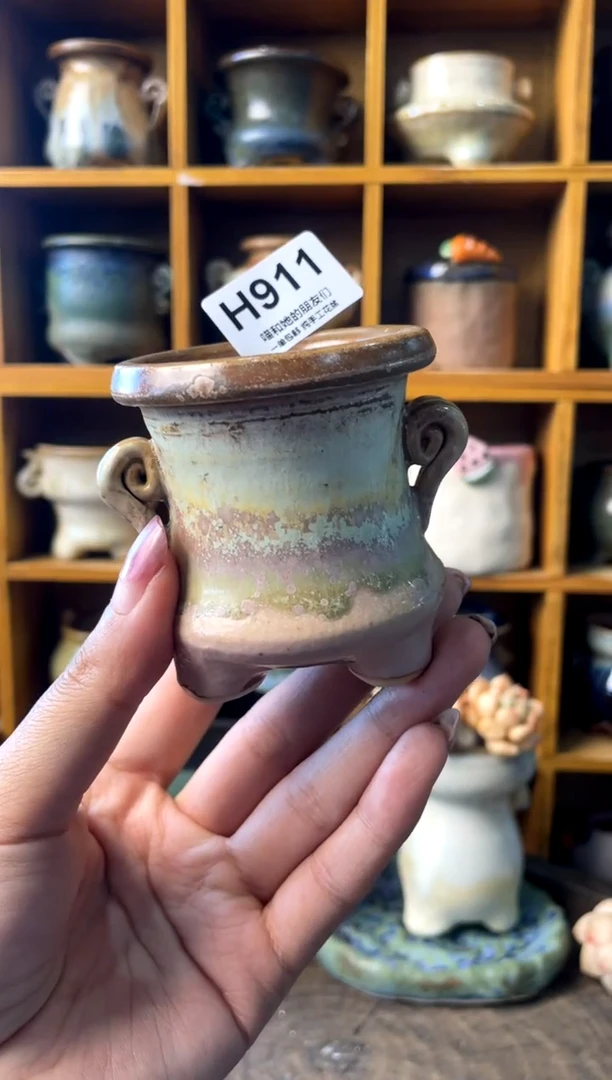 911内口5【多肉花盆多肉盆】