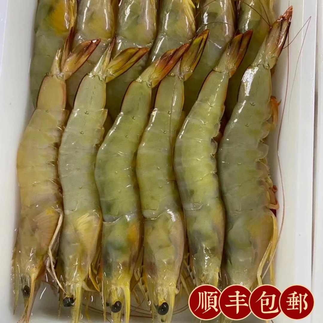 新鲜野生明虾对虾部分带膏液氮冷冻冷链发货