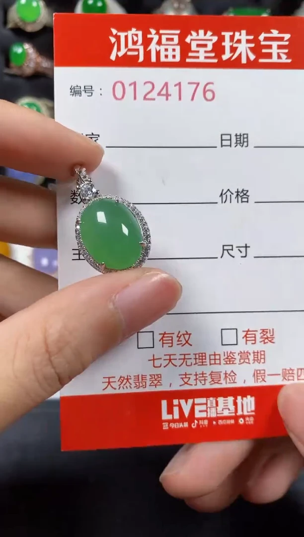 颈饰银S925镶嵌翡翠4176