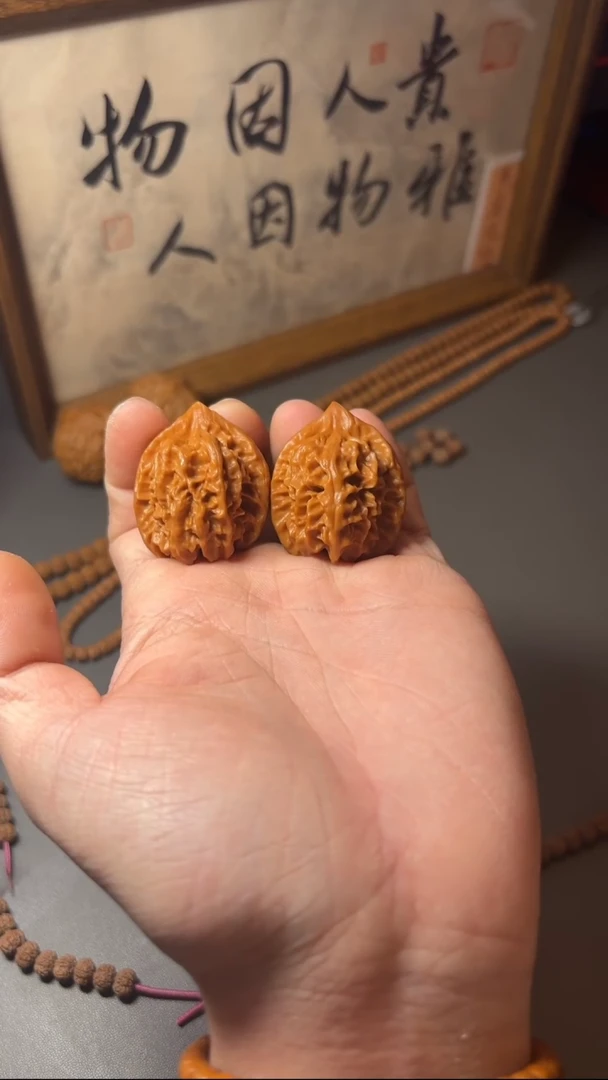 【闪购商品】金刚菩提手串曹大龙（有修）