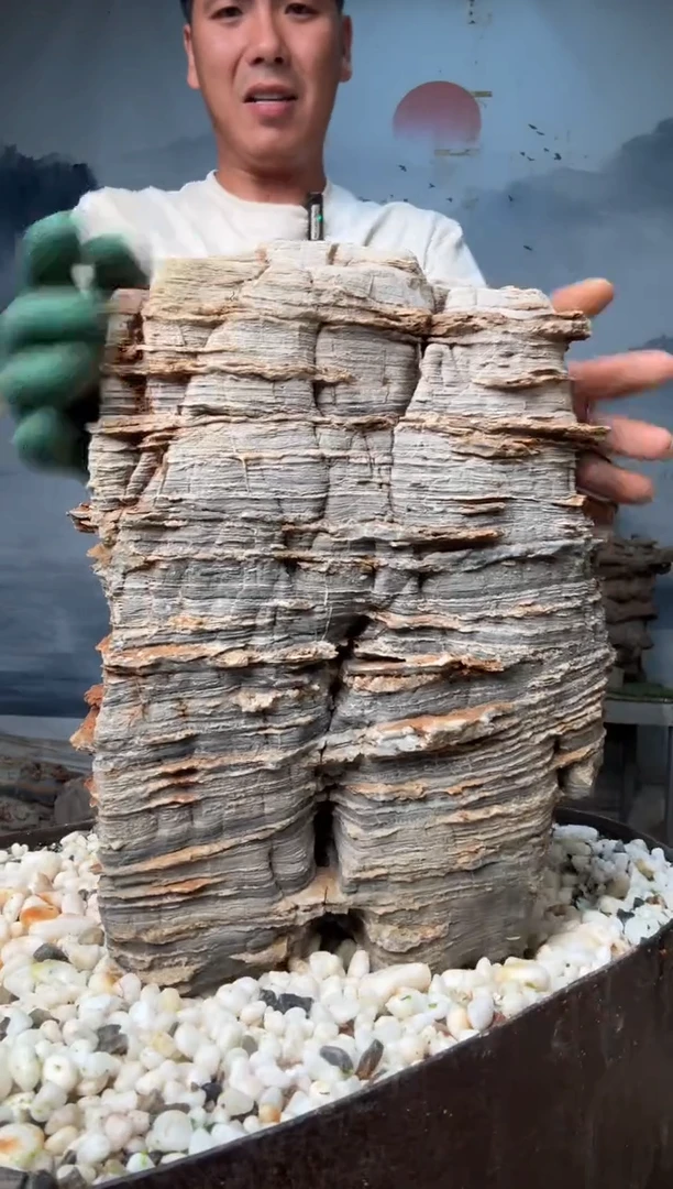 直播一物一拍链接