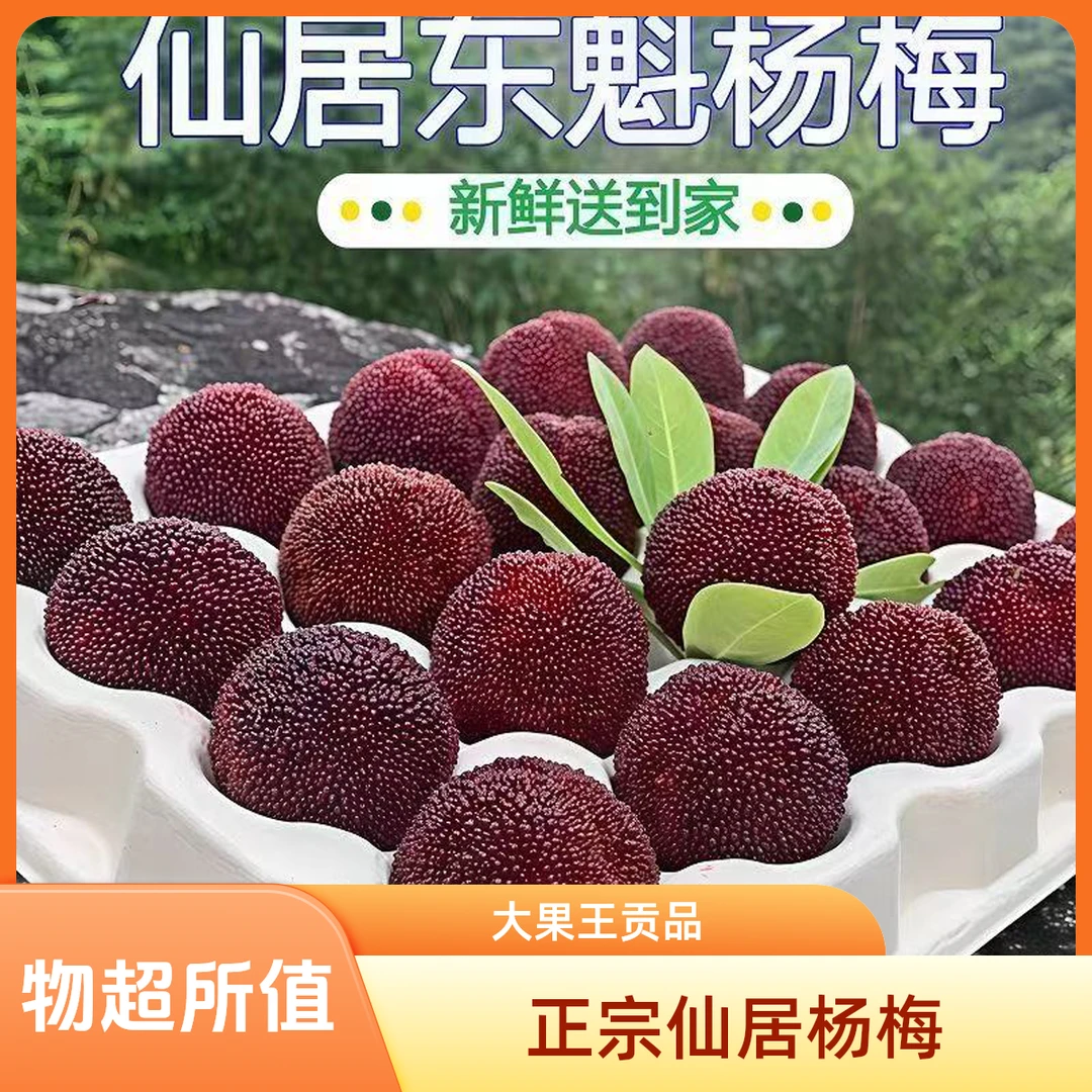 （顺丰次日达）11A特大果正宗浙江仙居东魁杨梅大杨梅王中王贡品杨梅皇颗粒定制包装浙江省