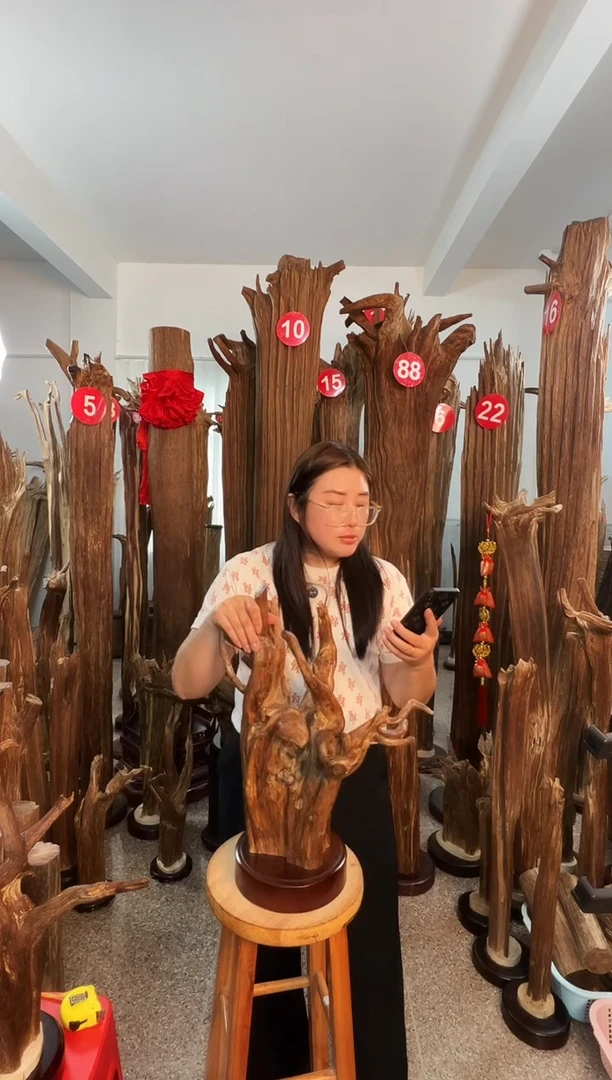 沉香摆件刘*举沉香原料6