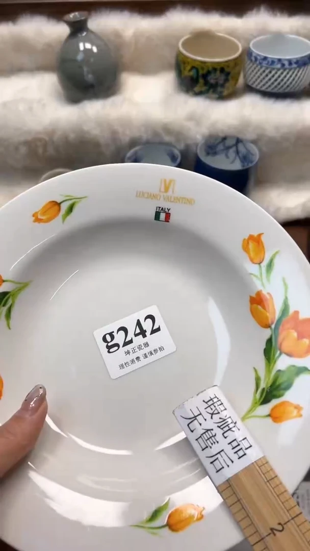 【闪购商品】瓷片          g242