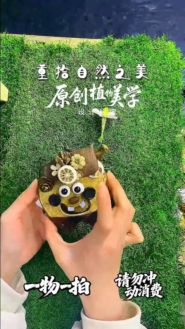 无非金属豆荚娃娃一物一拍