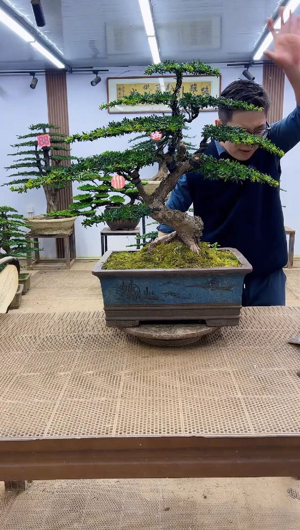 无花朵00000000000000