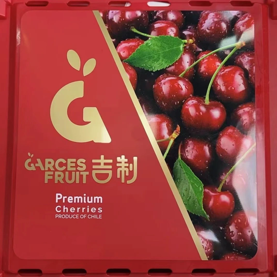 3JD吉制小红箱智利进口空运车厘子新货现发坏果包赔内附果径卡