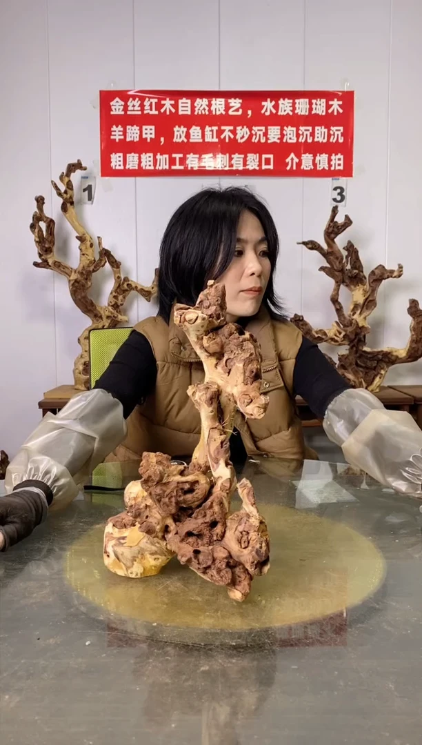 【闪购商品】木金丝红木 羊蹄甲