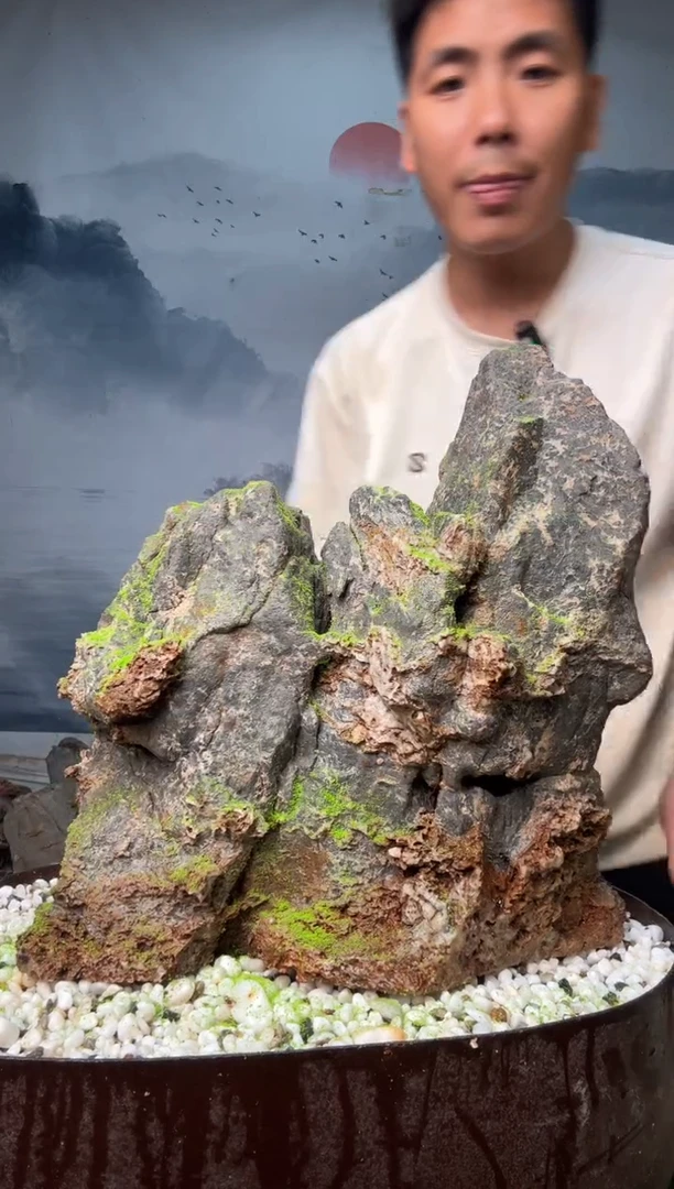 直播一物一拍链接