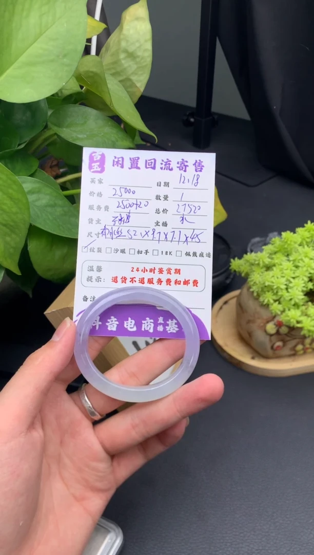 未镶嵌手镯翡翠手镯