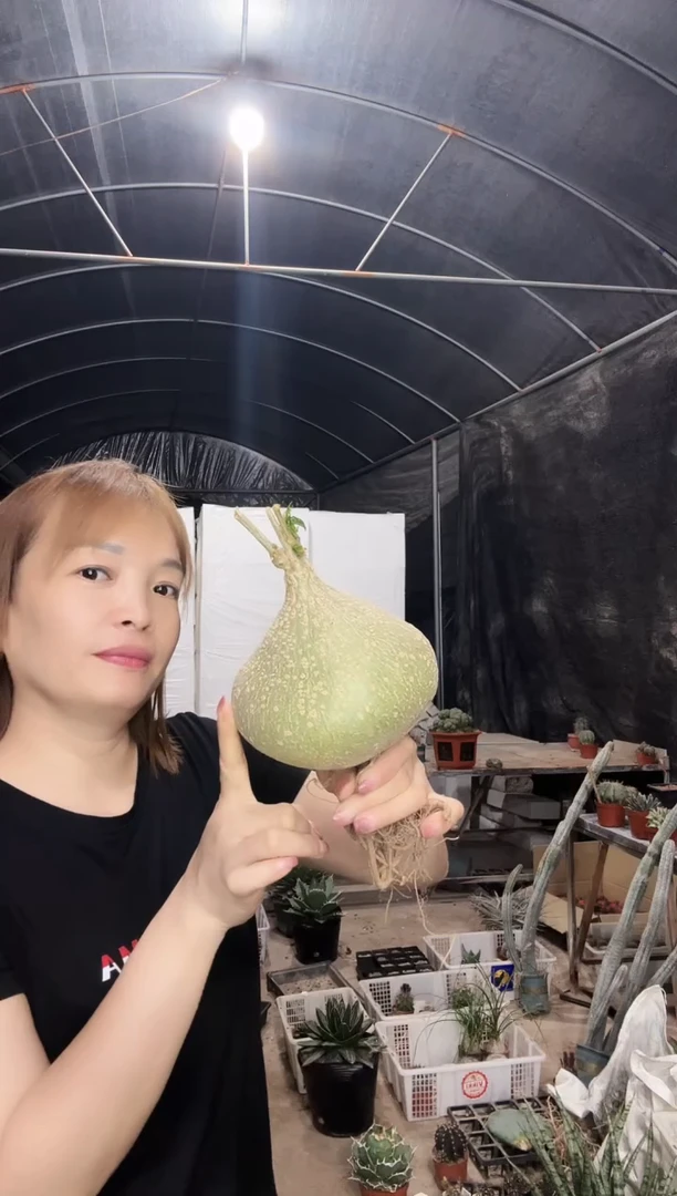 【闪购商品】大睡布袋