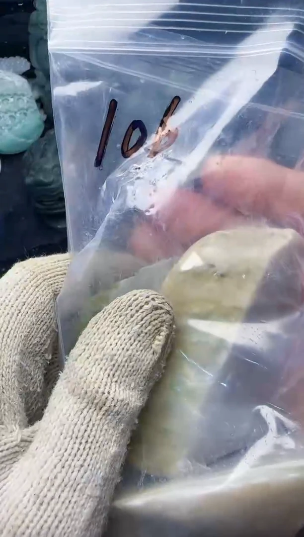 颈饰未镶嵌翡翠L***n106