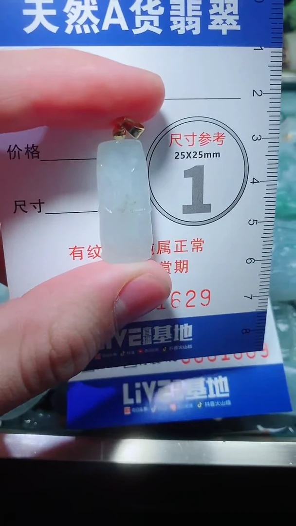 【闪购商品】翡翠颈饰未镶嵌天然A货翡翠一件