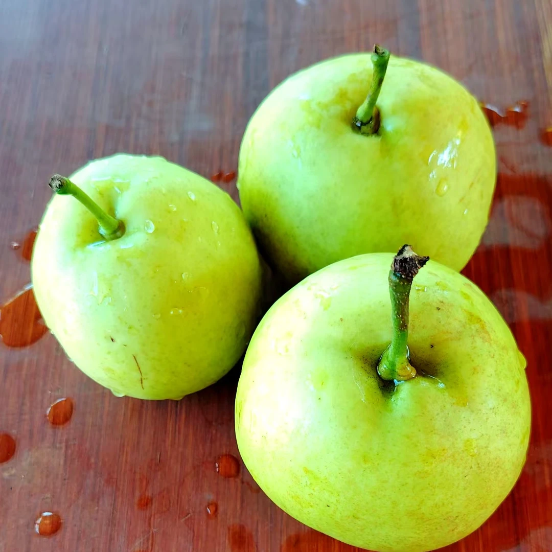 翠冠-苹果梨新鲜现摘当季水果脆甜多汁包邮