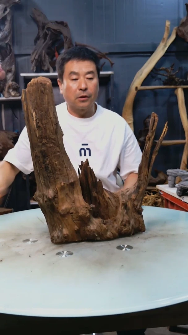 569香阁清香阁清香阁