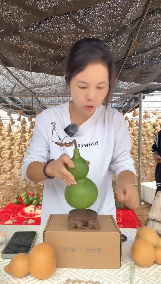 040天然葫芦摆件 一物一拍