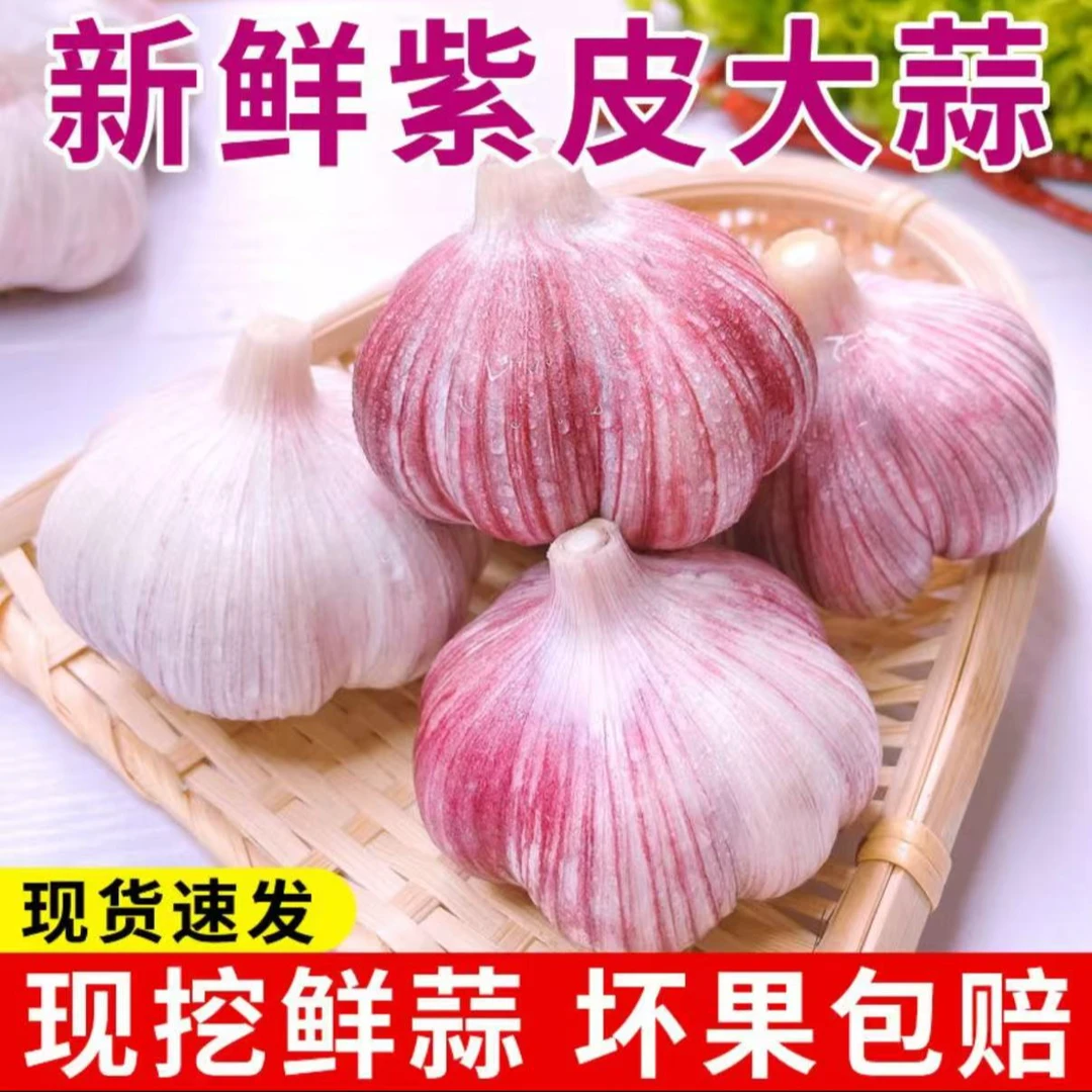 【紫皮多瓣蒜】1云南新鲜现挖紫皮多瓣蒜湿蒜3/5斤