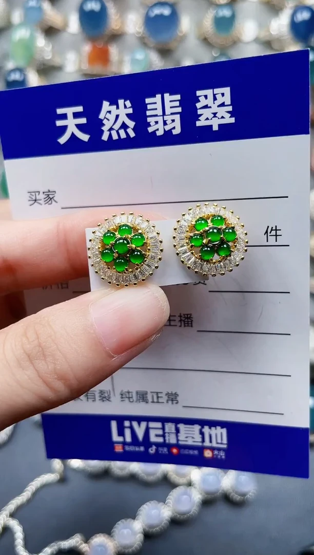 银S925镶嵌翡翠耳饰109