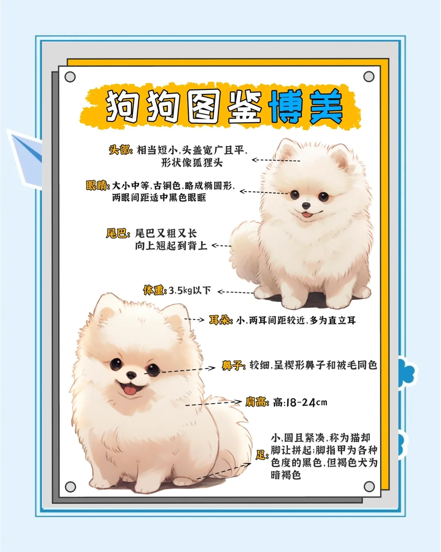 生生教你如何挑选书课包