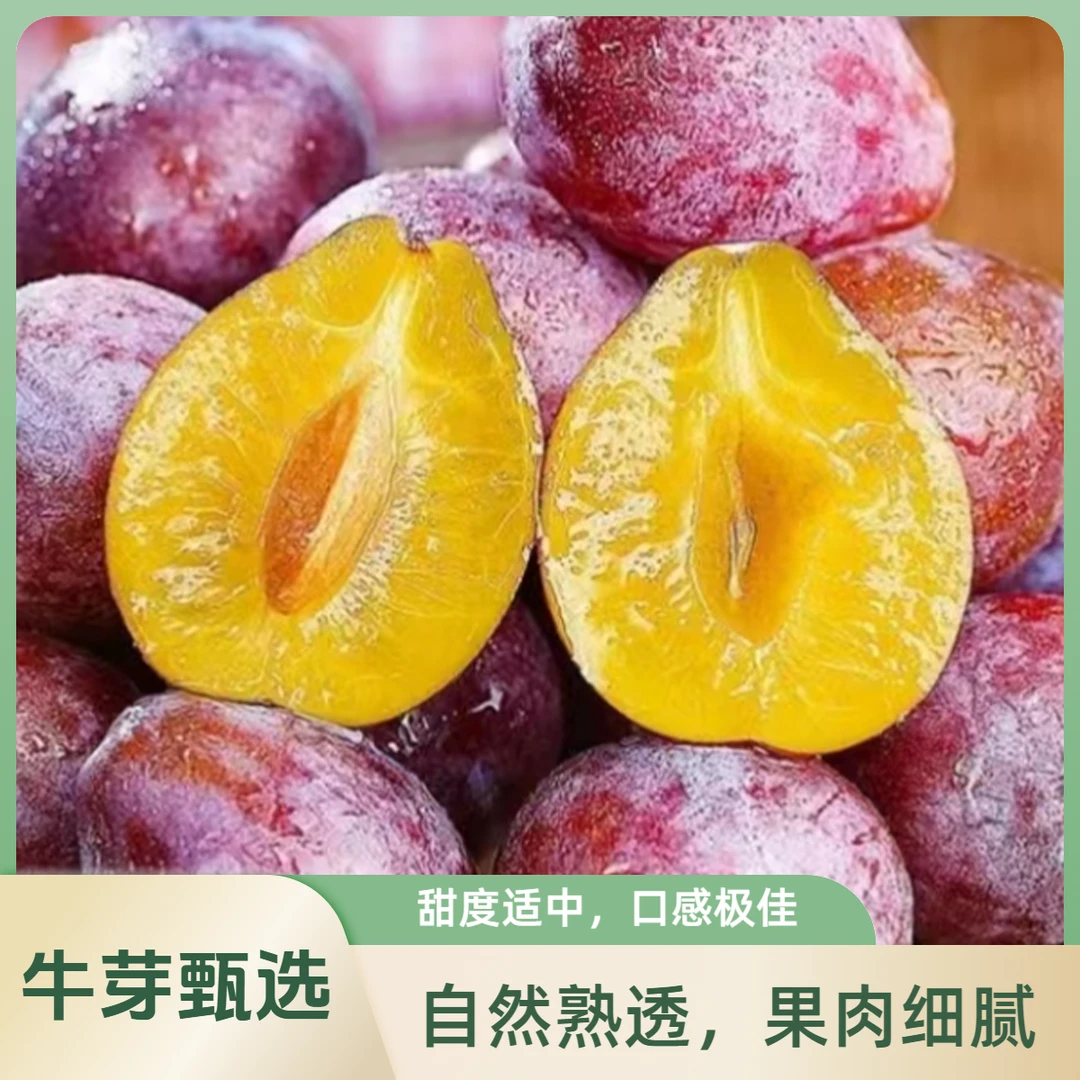 【牛芽甄选】智利新鲜西梅 净重2斤｜原地采摘果大肉嫩｜李子