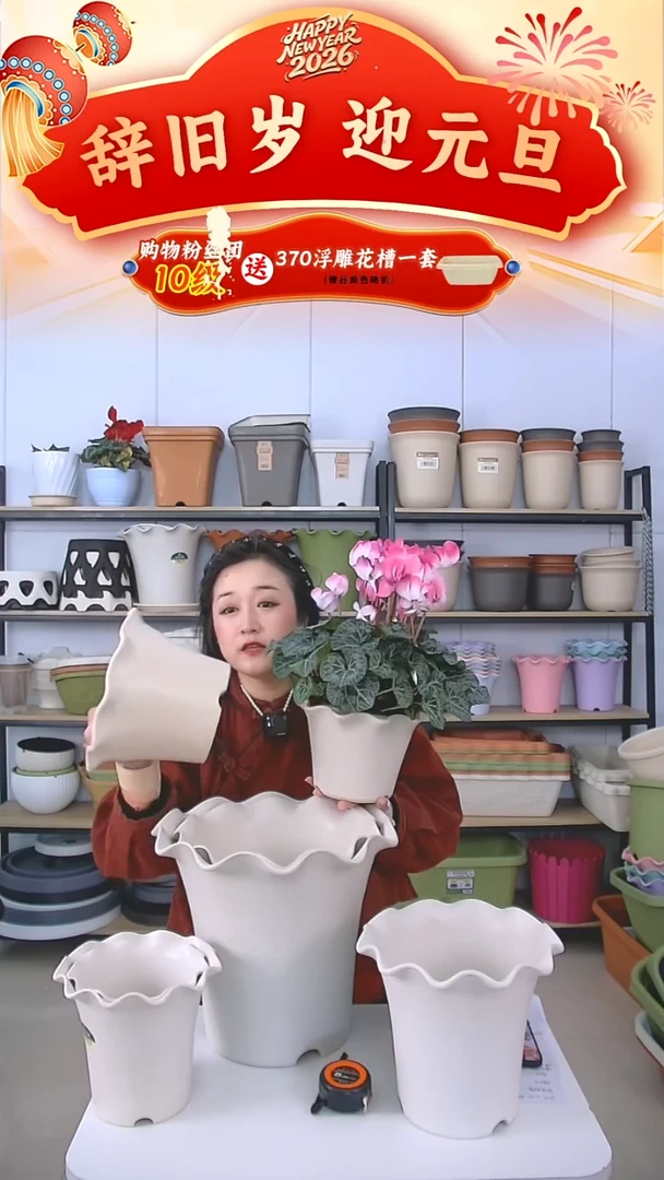 矮款荷叶边3号盆米白5套带托盘