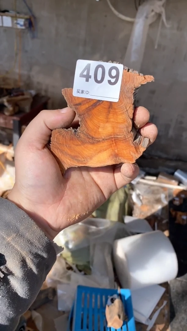 【闪购商品】柏木太行陈化崖柏（津诚林）切片