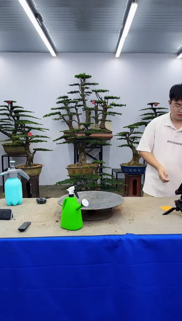 无花朵缘***?一物一拍，所见即所得