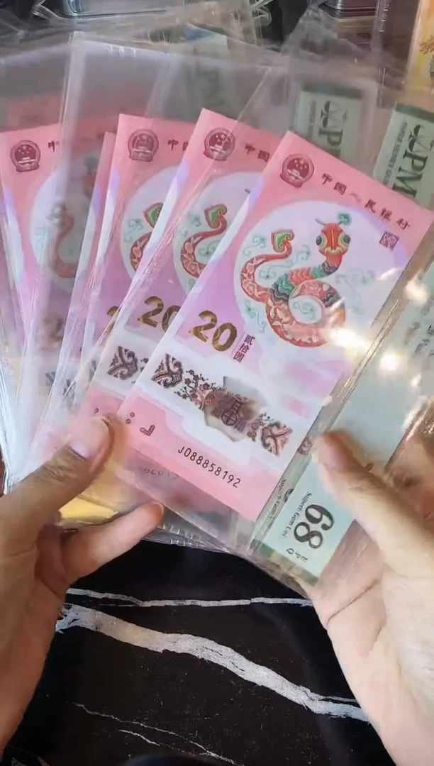 塑料2025 蛇钞  10张  无347  888头