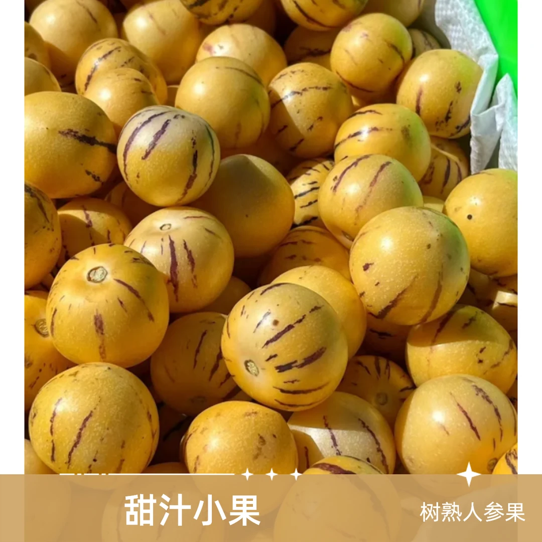 【树熟人参果】树熟石林人参果 爆汁纯甜 一盒8个