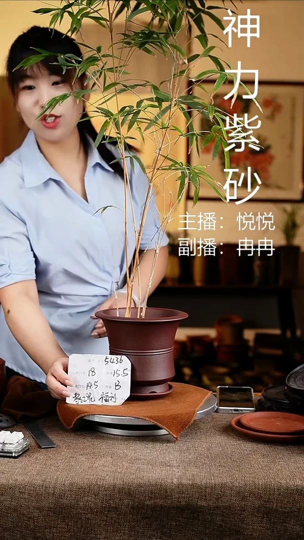 紫砂花盆花卉工艺5436+z