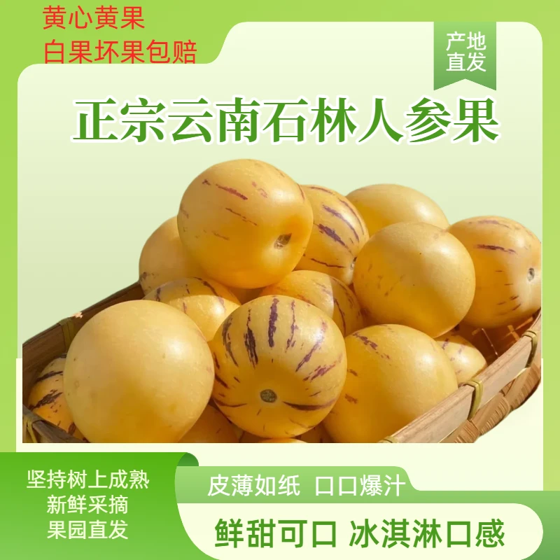 云南石林人参果黄果黄肉树熟皮薄清甜多汁4.5-5斤圆果