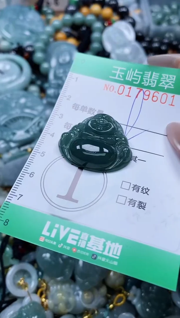 翡翠未镶嵌颈饰闪购0179601
