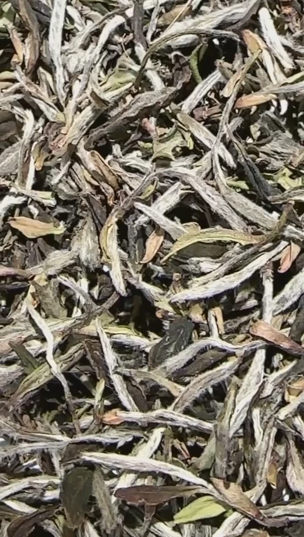 【闪购商品】C10 2020太奶荒野牡丹 50g