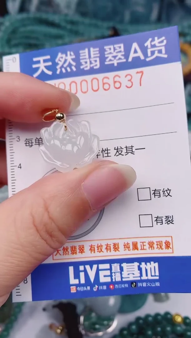 颈饰未镶嵌翡翠00006637
