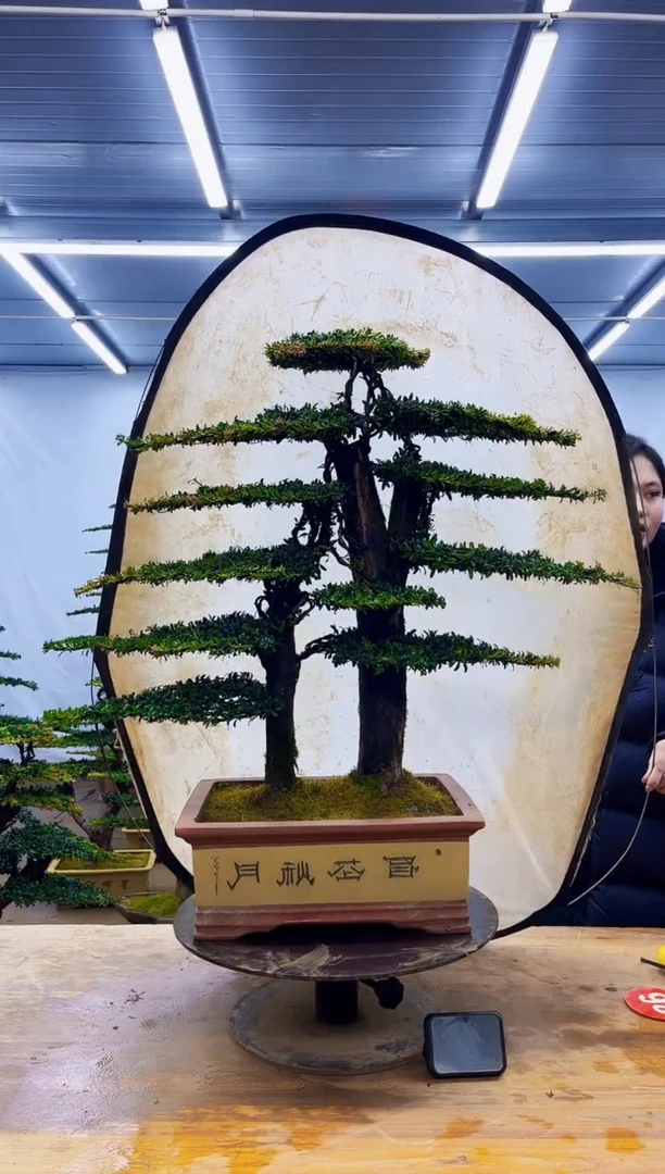 无花朵一物一拍·所见即所得